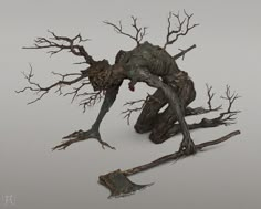 an image of a dead tree with no leaves on the branches and one branch still attached to it