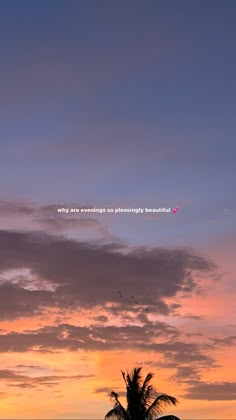 there is a palm tree on the beach at sunset with an inspirational quote above it