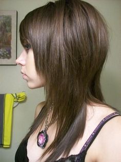 Feathered Hairstyles Straight, Straight Hair Texture, Shaggy Scene Hair, Medium Length Haircut Edgy Straight, Straight Shag Haircut, Haircuts For Thinner Hair, Layered Hair Straight, Mid Length Shag, Straight Shag