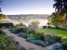 a garden with lots of flowers and trees