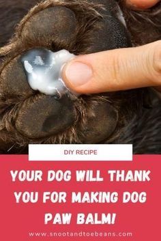 My doggos paw pads get dry and crackedPurchasing dog paw balm can get priceySoI developed a dog paw balm recipe for Bella and Edward. Paw Balm Recipe, Dog Paw Care, Dog Balm, Dog Paw Balm, Pet Remedies, Painting Front Porch Concrete, Painting Front Porch, Paw Care