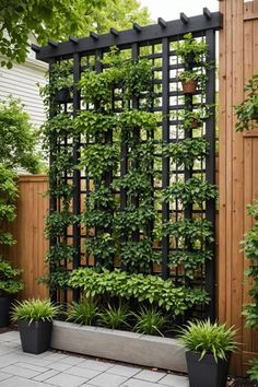 an outdoor trellis with potted plants on the ground and in front of it