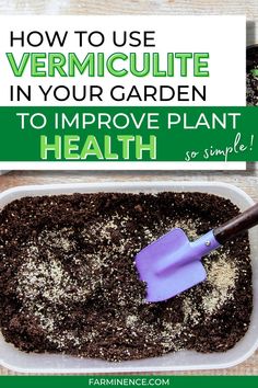 how to use vermiculite in your garden to improve plant health so simple