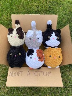 a cardboard box filled with small crocheted cats sitting on top of green grass