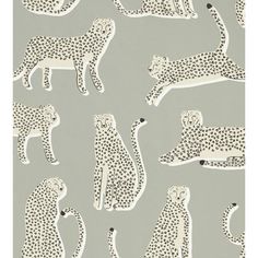 an image of cheetah and leopards on grey background for wallpaper or fabric