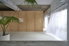 an empty room with wooden cabinets and a potted palm tree in the foreground