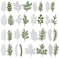 various leaves and plants cut out from paper