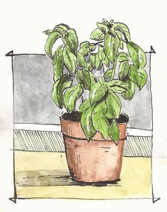 a drawing of a potted plant sitting on a window sill next to a wall