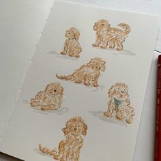 some little dogs are drawn on paper with crayons