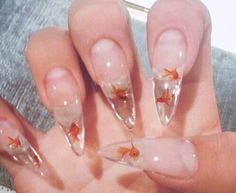 Fish Nail Art, Fish Nails, Nails Yellow, Jelly Nails, Manicures Designs, Clear Nails, Fire Nails