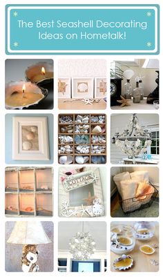 an image of seashell decor ideas