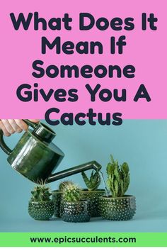 someone is watering their cacti with the words, what does it mean if someone gives