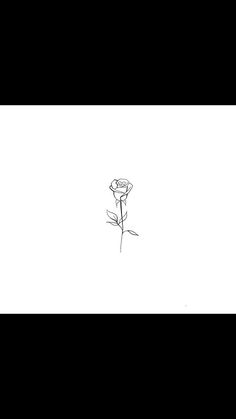 a drawing of a single rose on a black and white background