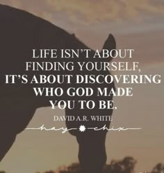 a horse with the words life isn't about finding yourself, it's about discovering who god made you to be