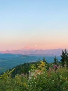 the mountains are covered in trees and flowers at sunset, as the sun is setting