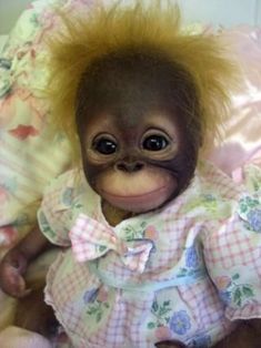 a baby monkey with yellow hair sitting on top of a pink bedding and wearing a dress