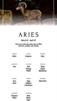 an event poster for aries