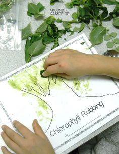 a child's hand is on top of a book with green leaves surrounding it