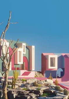 colorfully painted buildings with cactus trees in the foreground