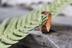 a wooden ring sitting on top of a rock next to a green fern leaf branch