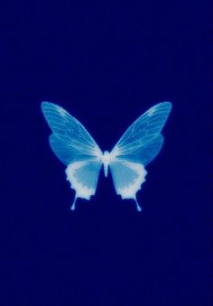 a blue and white butterfly flying through the air