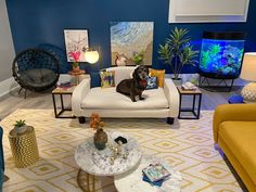 a dog sitting on top of a couch in a living room next to a fish tank