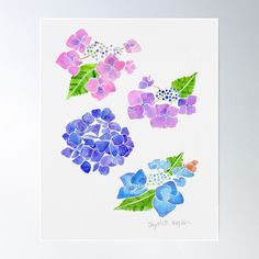 four watercolor flowers on white paper poster