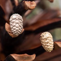 Threadless 14K Yellow, White or Rose Gold Description & Features: This Pine Cone end makes the perfect accent piece. It features textured detailing of the signature woody scales found in nature. 5.5mm x 3.5mm threaded end All threadless pieces are sold separately To shop this collection, click here ★★★★★★★★★★★★★★★★★★★★★★ Brand: Mushroom Body Jewelry ( m.us.hroom ) Collection: 41385 Material(s): 14K Gold Item Code: M-0047 Commonly worn in: earlobes, sensitive lobes, cartilage, helix, conch, tragu Gold Body Jewelry, Gold Body Jewellery, Gold Bodies, Pine Cone, Tragus, Ear Jewelry, Conch, Helix, Pine Cones