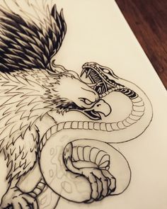 a drawing of a dragon and snake on paper