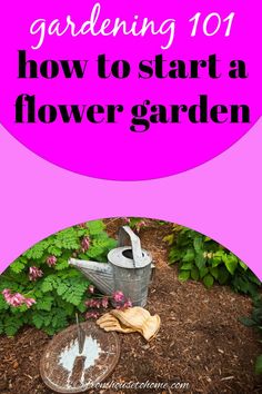 Gardening 101: How to Start a Flower Garden