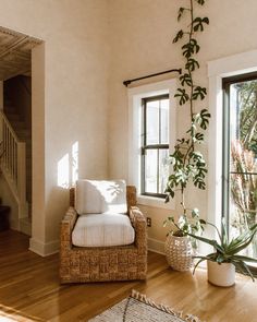 a living room filled with furniture and a potted plant next to a window on top of a hard wood floor