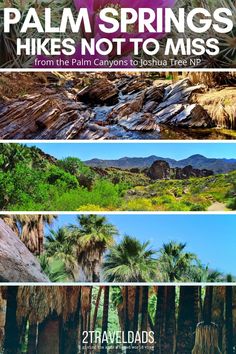 palm springs hikes not to miss