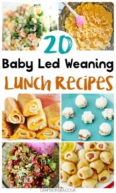 20 baby led weaning lunch recipes