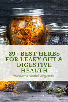 three jars filled with herbs and the words 39 best herbs for leaky gut & digestive health