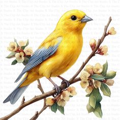 a yellow bird sitting on top of a tree branch with flowers in it's beak