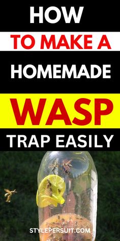 how to make a homemade wasp trap easy and fun insect repellent for the garden