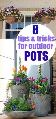 three pots with flowers in them and the words 8 tips & tricks for outdoor pots