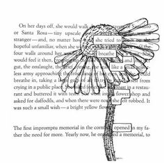 an old book page with a drawing of a flower