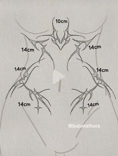 the diagram shows how to draw an arm and shoulder with different angles for each arm