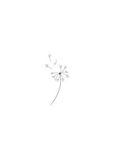 a drawing of a dandelion on a white background