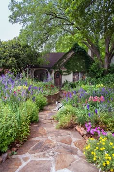 a dog is sitting in the middle of a garden with flowers and plants around it