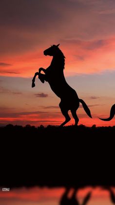 the silhouette of a horse is shown in front of an orange, green and blue sky