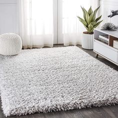 a large white rug in the middle of a living room with a plant on it