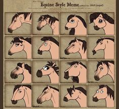 an animated horse's face is shown in several different ways, including the nose and head