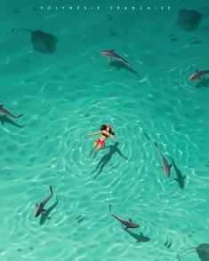 a woman swimming in the ocean surrounded by dolphins