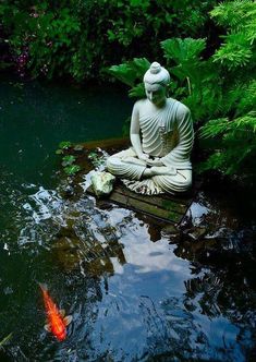 a buddha statue sitting in the middle of a pond filled with fish