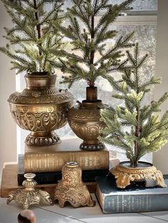 two vases with trees in them sitting on top of a table next to books