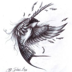 schwalbe                                                                                                                                                     Mehr Swallow Tattoo Design, Fenix Tattoo, Drawings With Meaning, Vogel Tattoo, Tattoo Bird, Swallow Tattoo, Geniale Tattoos, Sketch Tattoo Design, Tatuaje A Color