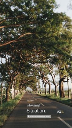 an image of a road with trees on both sides and the words, morning situation