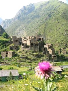 an old village on the side of a mountain with flowers growing in front of it